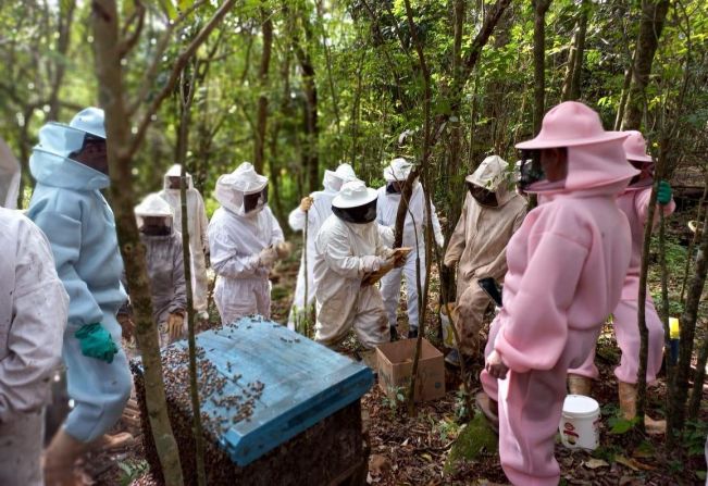 Terceira etapa do curso de apicultura 